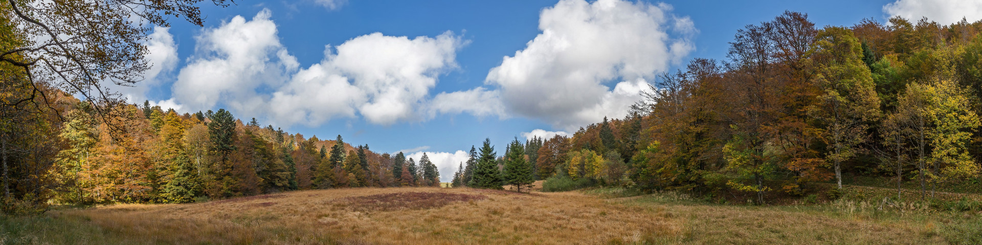 autopano044-001-dominique-steinel-4318