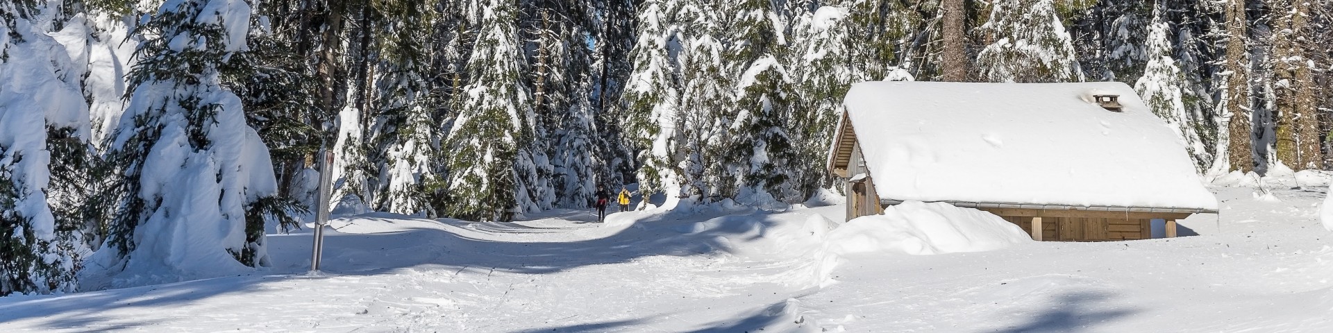 dominique-steinel-neige285-001-7-3874