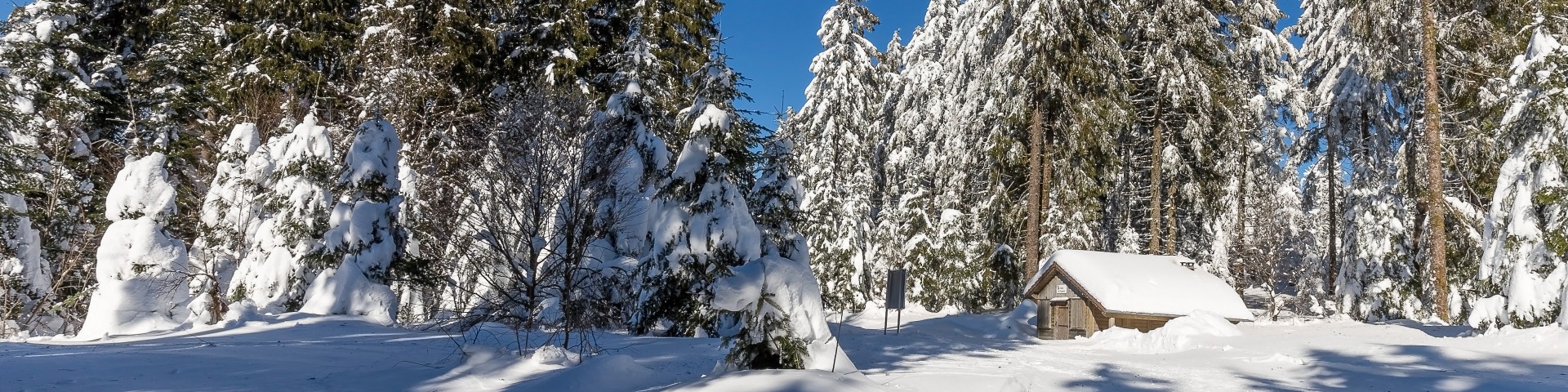 dominique-steinel-neige285-001-8-3876