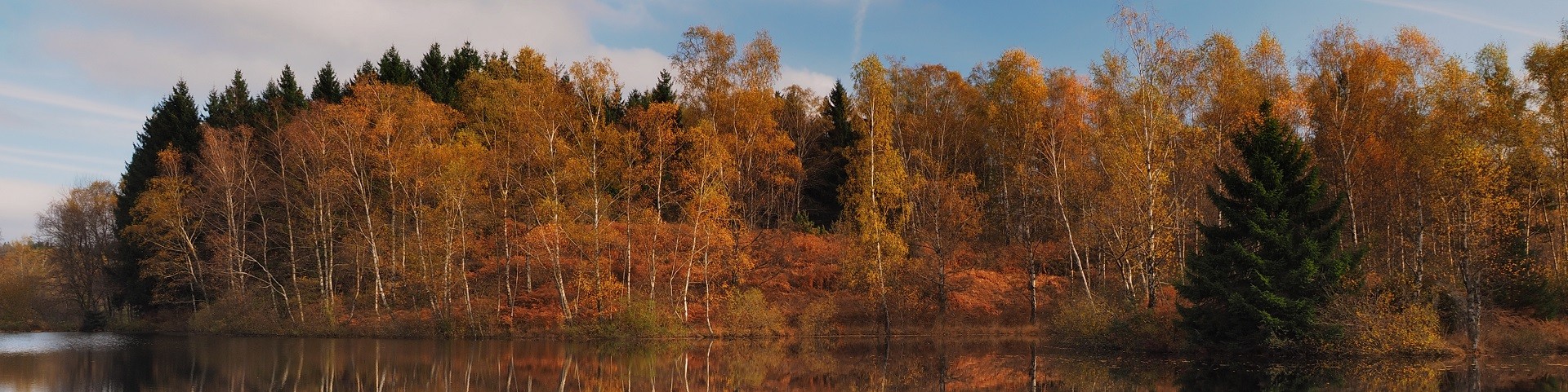 etang220-001-dominique-steinel-2665