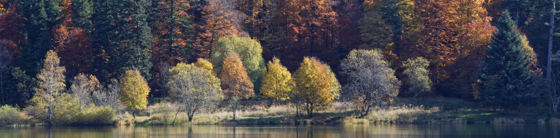 lac-de-baignade-4356