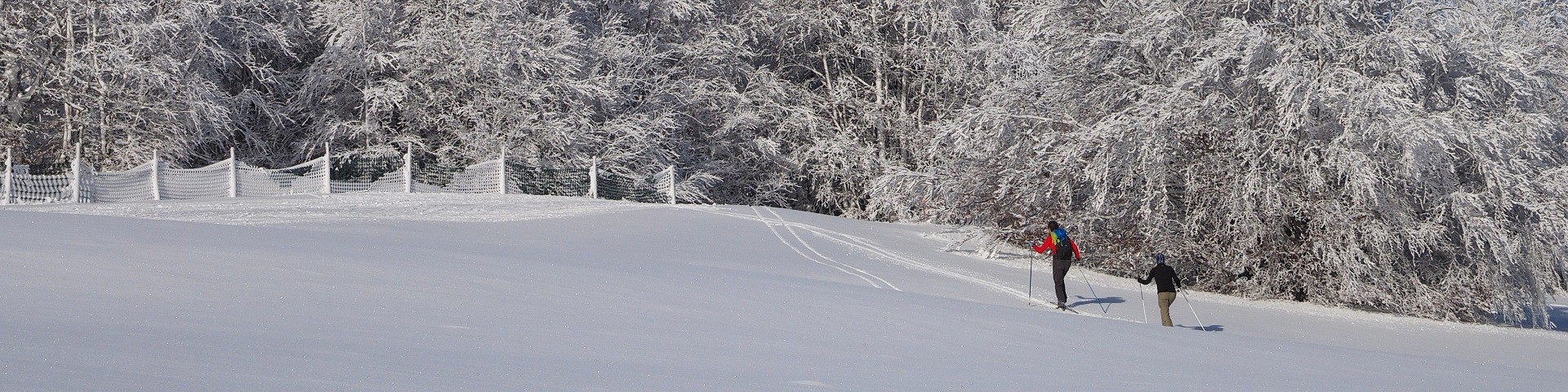 neige209-001-dominique-steinel-jpg-ski-de-fond-2133