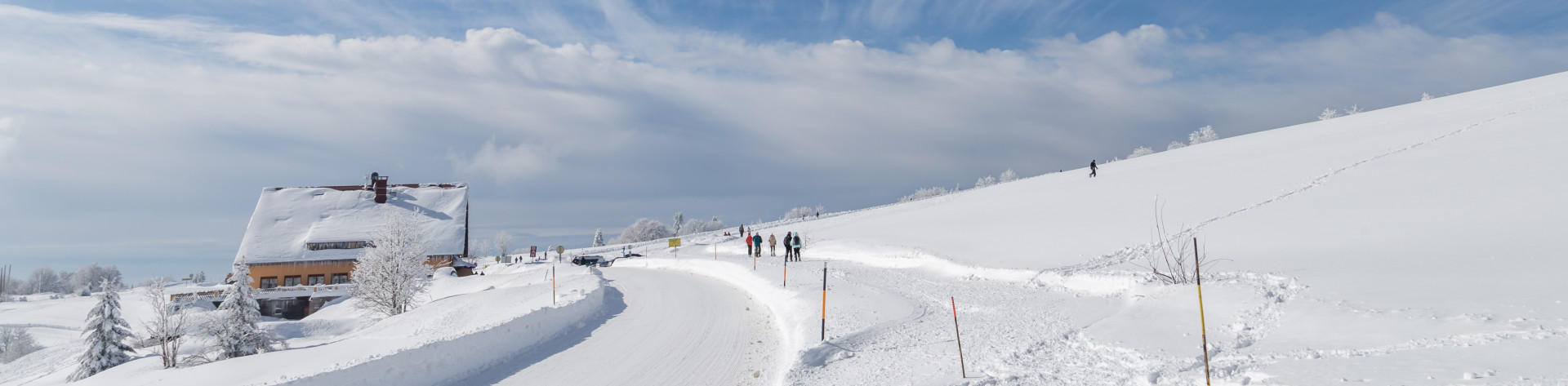 neige506-copie-4083