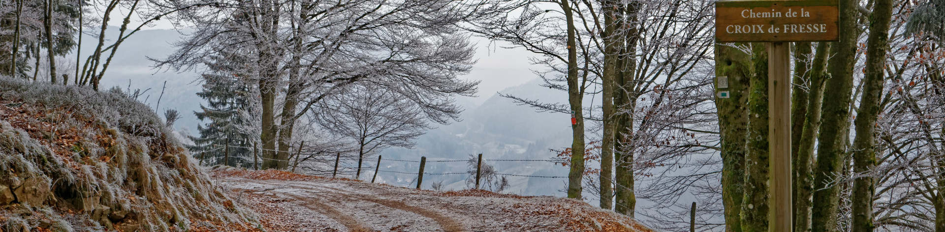 paysage2204-copie-4109