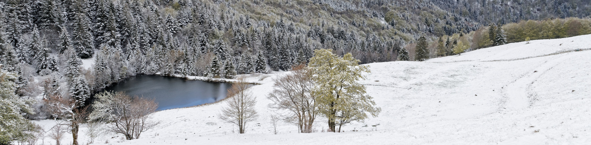 paysage2263-copie-4107