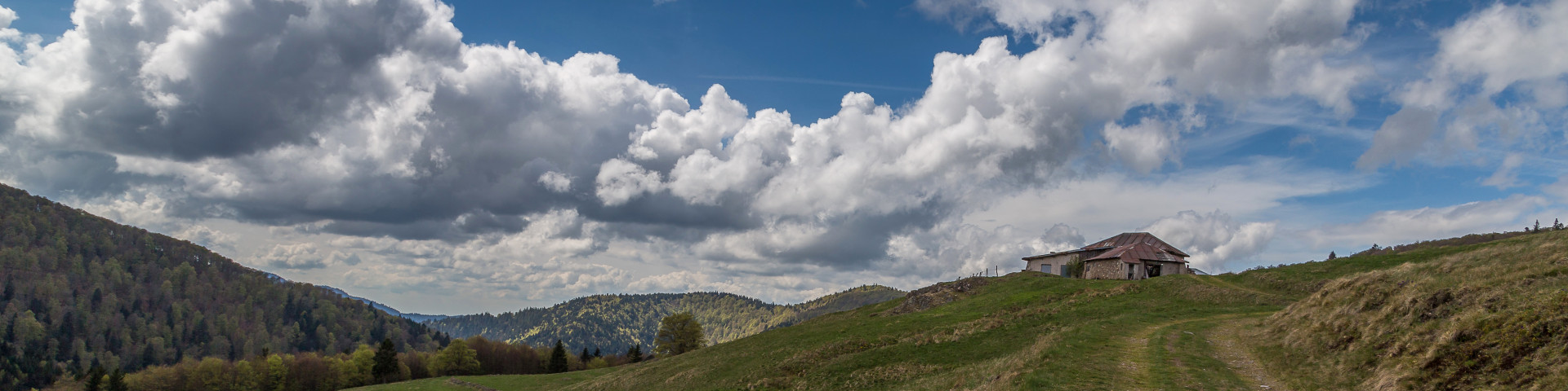 paysage607-001-dominique-steinel-3903-4411