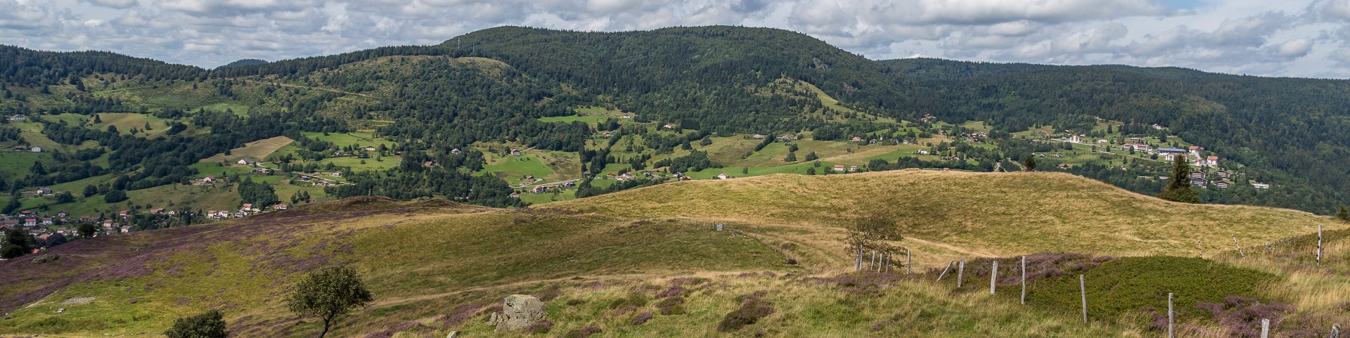 paysage855-001-dominique-steinel-3904