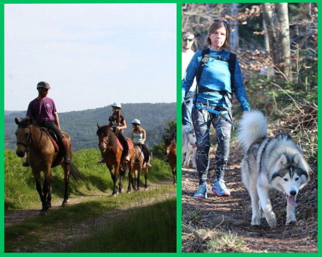 Horse riding - Cani-hiking