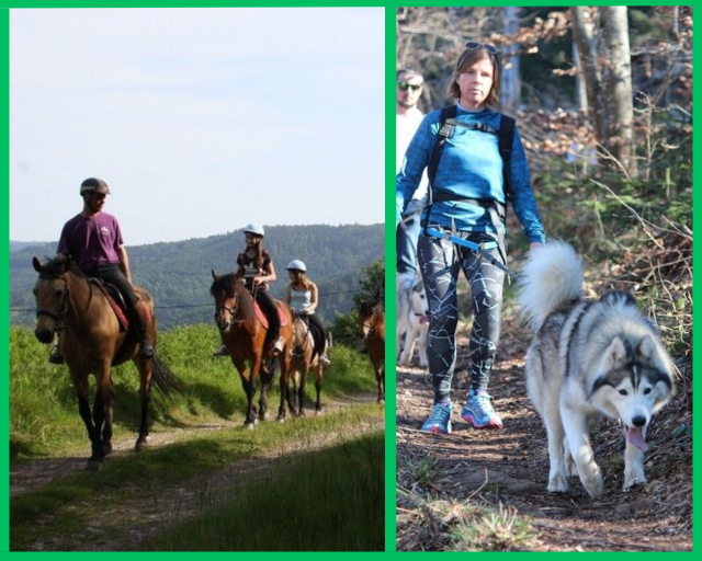 Reiten - Zughundspaziergang