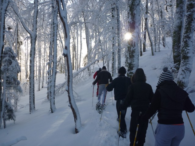 Activités hivernales