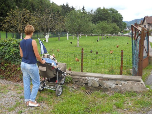 Rundwege mit Kinderwagen