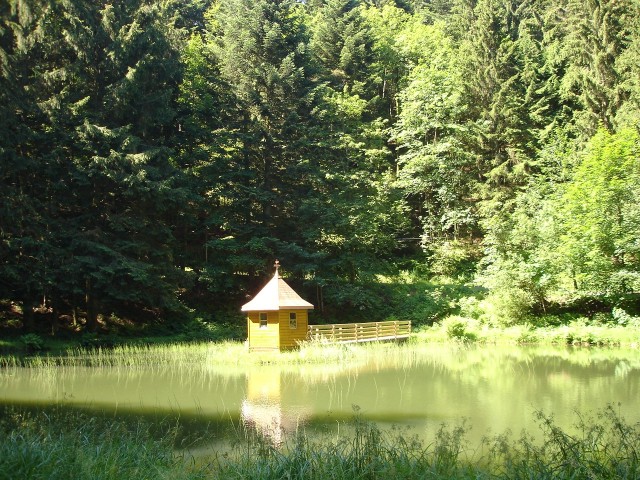 Lakes and ponds on the territory