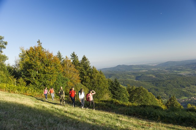 Wanderungen und Spaziergänge