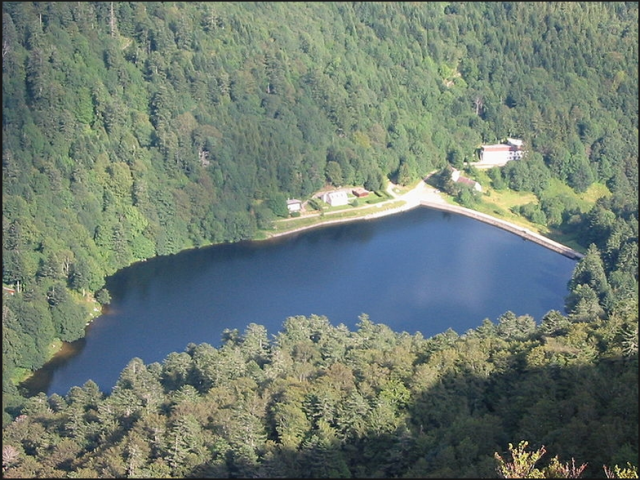 Lakes suitable to swim on the territory