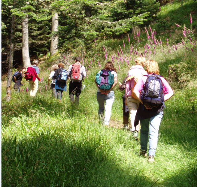 Mountain guides