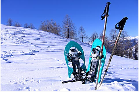 Accompagnateurs en montagne