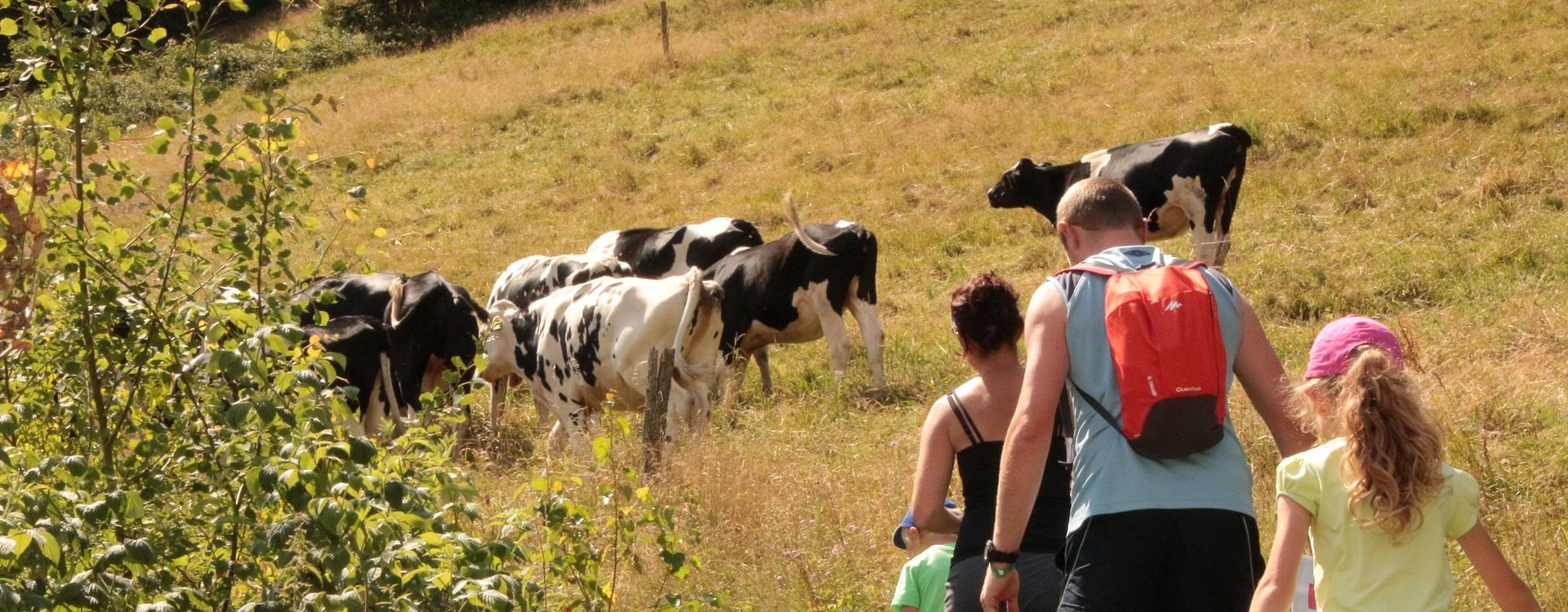 Sommerwanderung