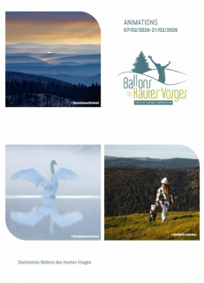 animation-702au2102-ing-nie-1080