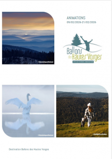 animations-902au2102-ing-nie-1083