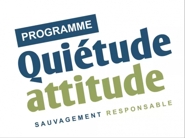 quietude-attitude-918