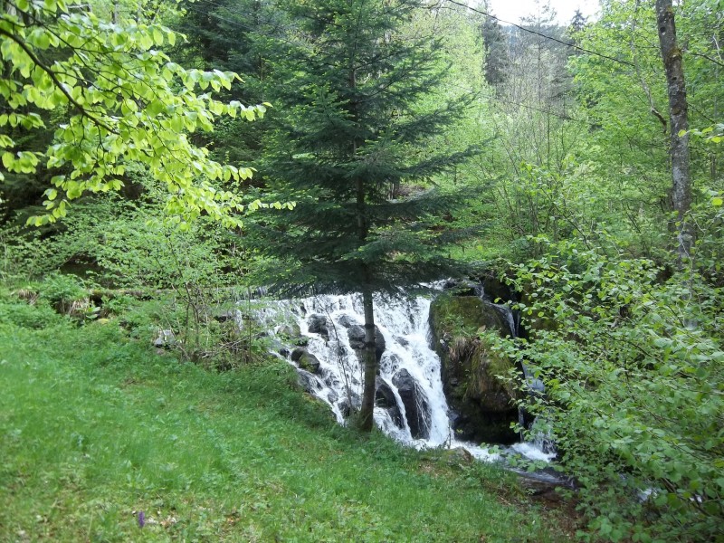 cascade-derriere-des-charbonniers-622