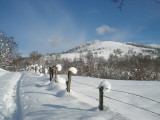 commune-du-menil-5