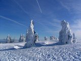 accompagnateur-montagne-randosudvosges10