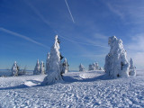 accompagnateur-montagne-randosudvosges10
