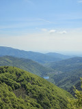 sentier-decouverte-ballon-alsace-7