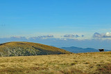 la-route-des-cretes-et-le-grand-ballon-5