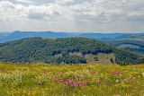 la-route-des-cretes-et-le-grand-ballon-2