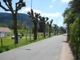 randoland-bussang-2