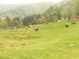 randoland-saint-maurice-7 randoland-saint-maurice-7