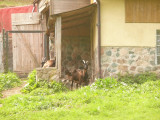 randoland-saint-maurice-4 randoland-saint-maurice-4