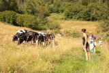 balade-sentier-chevres-3