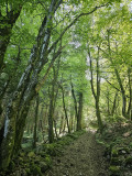 balade-sentier-chevres-5 balade-sentier-chevres-5