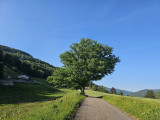 balade-sentier-chevres-7