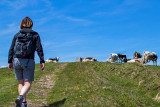 randonnee-drumont-par-sentier-des-russiers-4 randonnee-drumont-par-sentier-des-russiers-4
