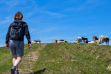 randonnee-drumont-par-sentier-des-russiers-4 randonnee-drumont-par-sentier-des-russiers-4