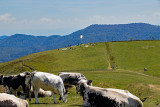 balade-chaume-drumont-3 balade-chaume-drumont-3