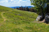 balade-chaume-drumont-4 balade-chaume-drumont-4