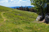 balade-chaume-drumont-4