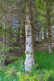 randonnee-ste-barbe-par-sabbat-6 randonnee-ste-barbe-par-sabbat-6