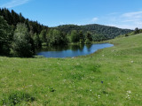 circuit-rouge-gazon-5