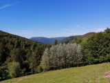 circuit-tour-des-bleuets-3