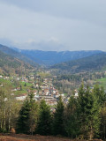 balade-foret-vosgienne-2