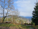 balade-foret-vosgienne-4