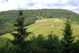 balade-neufs-bois-et-ses-etangs-8