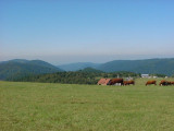 balade-famille-ballon-alsace-3