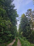circuit-grand-roche-le-menil-5